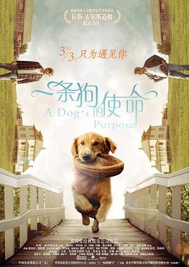一条狗的使命(国语版)